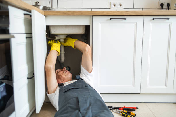 Best Emergency Plumbing Repair  in Genola, UT