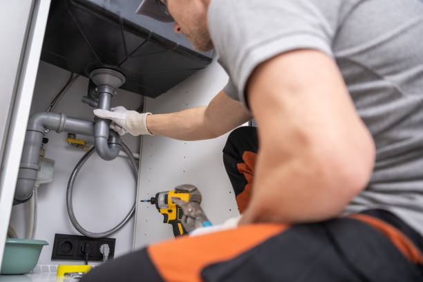 Best Plumbing Services Near Me  in Genola, UT